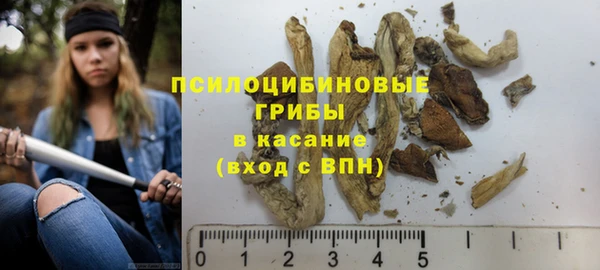 прущая мука Нягань