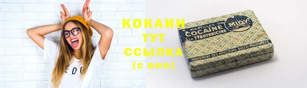 PSILOCYBIN Билибино