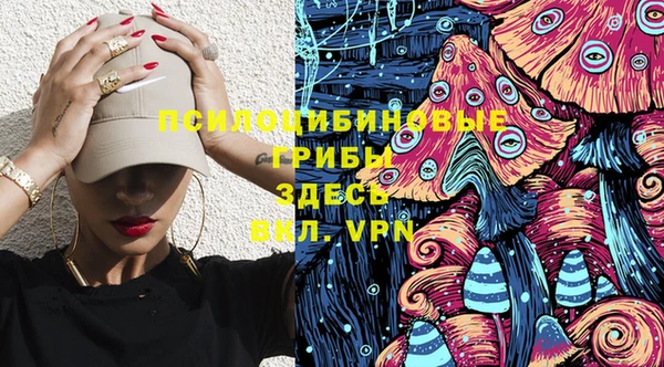 амфетамин Новодвинск
